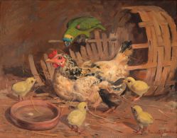 Benedito José De Andrade - Aves