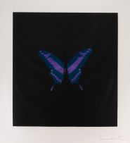 Damien Hirst - Six Butterfly
