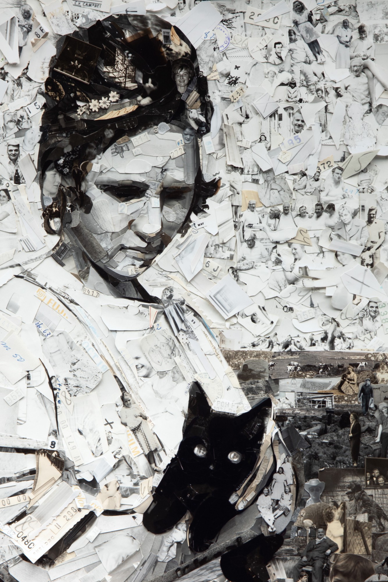 Vik Muniz - New Kitten